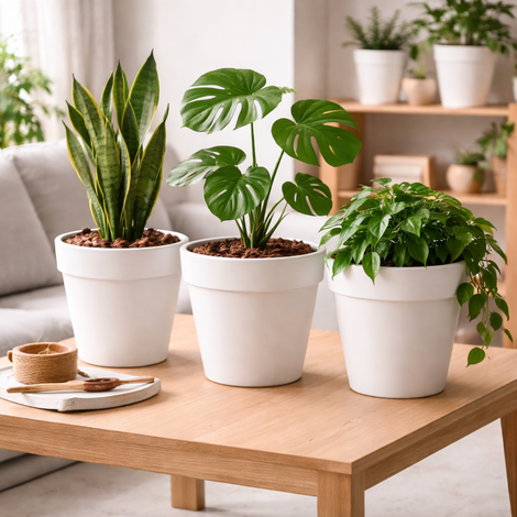 Healthier Houseplants Plant Pot Set – Pack of 3 White Planters with Drainage Disc & Stem Support for Monstera Orchids & Indoor Plants